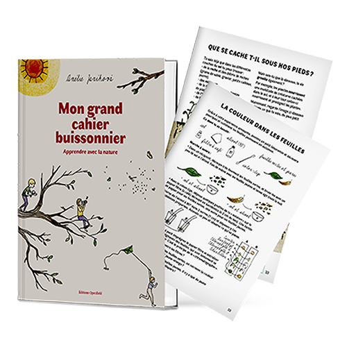 Mon grand cahier buissonnier